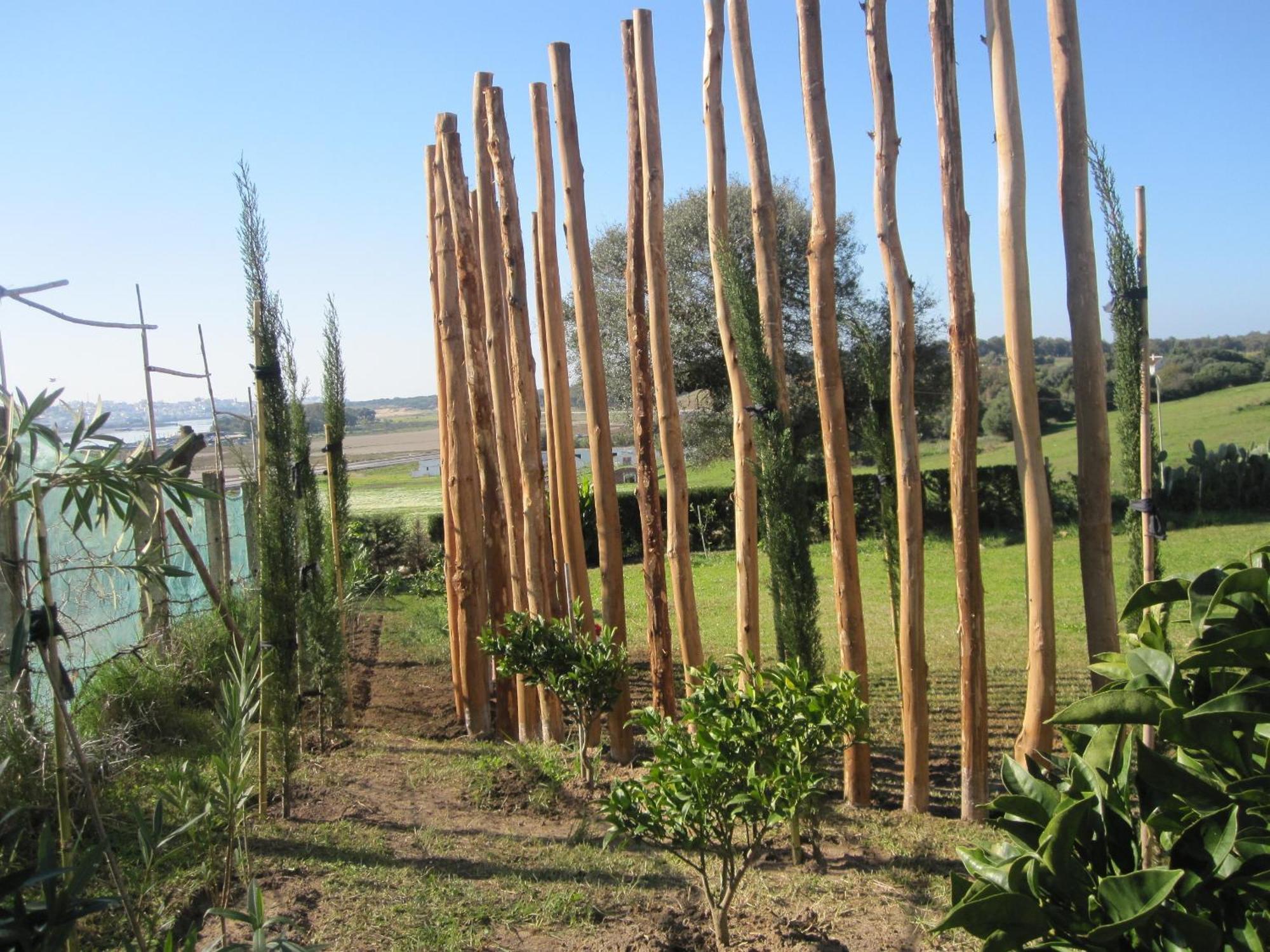 Villa Zahra Larache Buitenkant foto